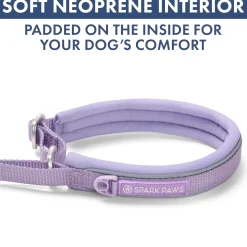 Martingale Collar Sets