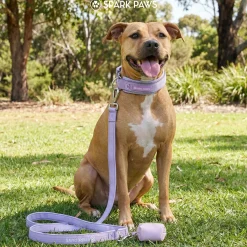 Martingale Collar Sets