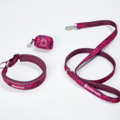 Martingale Collar Sets
