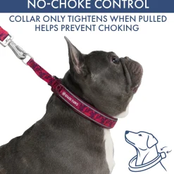 Martingale Collar Sets