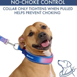 Martingale Collar Set - Snow Cone