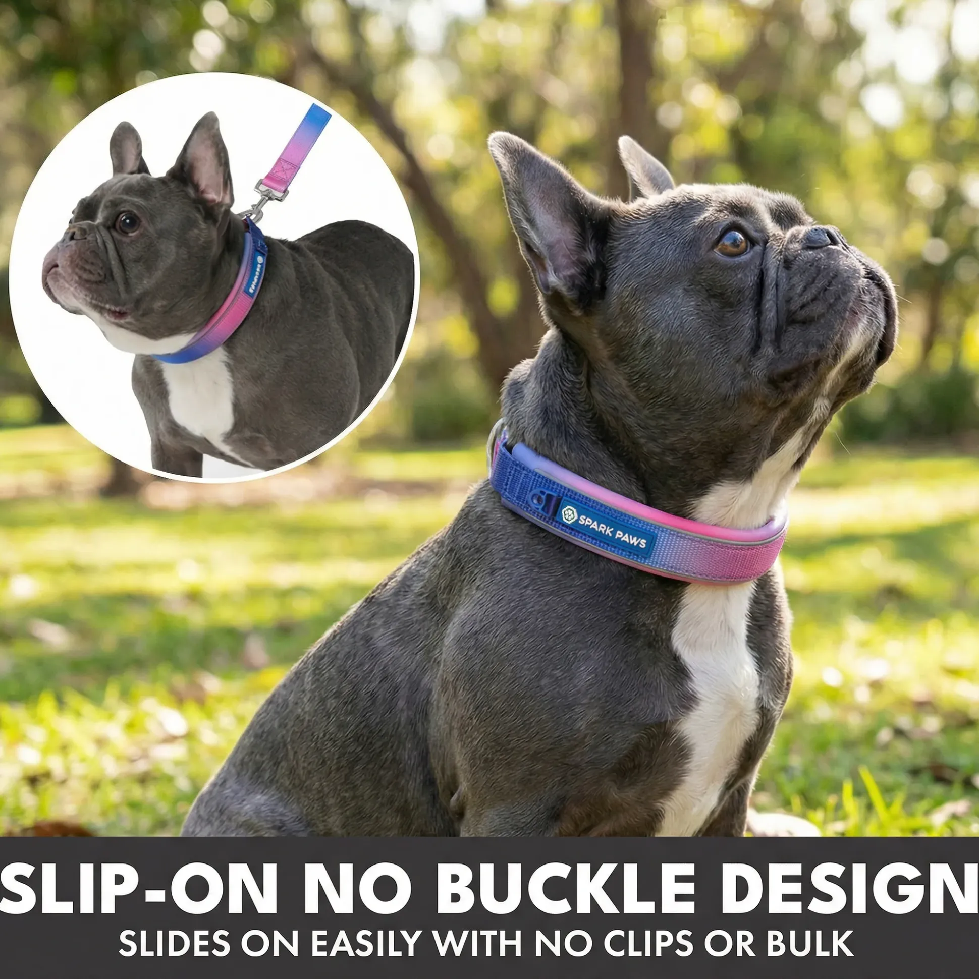 Martingale Collar Set - Snow Cone