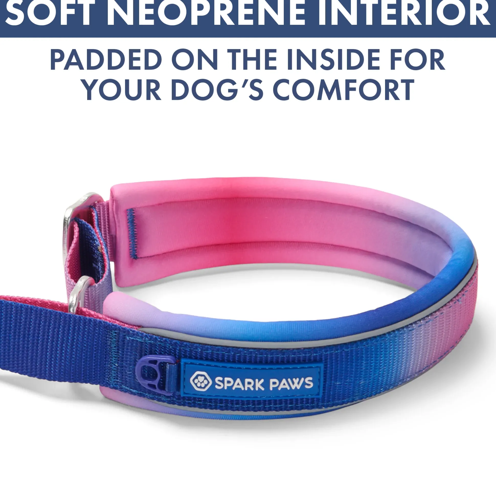 Martingale Collar Set - Snow Cone