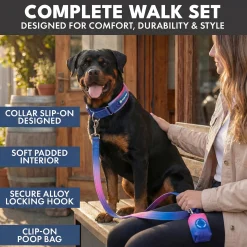 Martingale Collar Set - Snow Cone