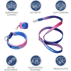 Martingale Collar Set - Snow Cone