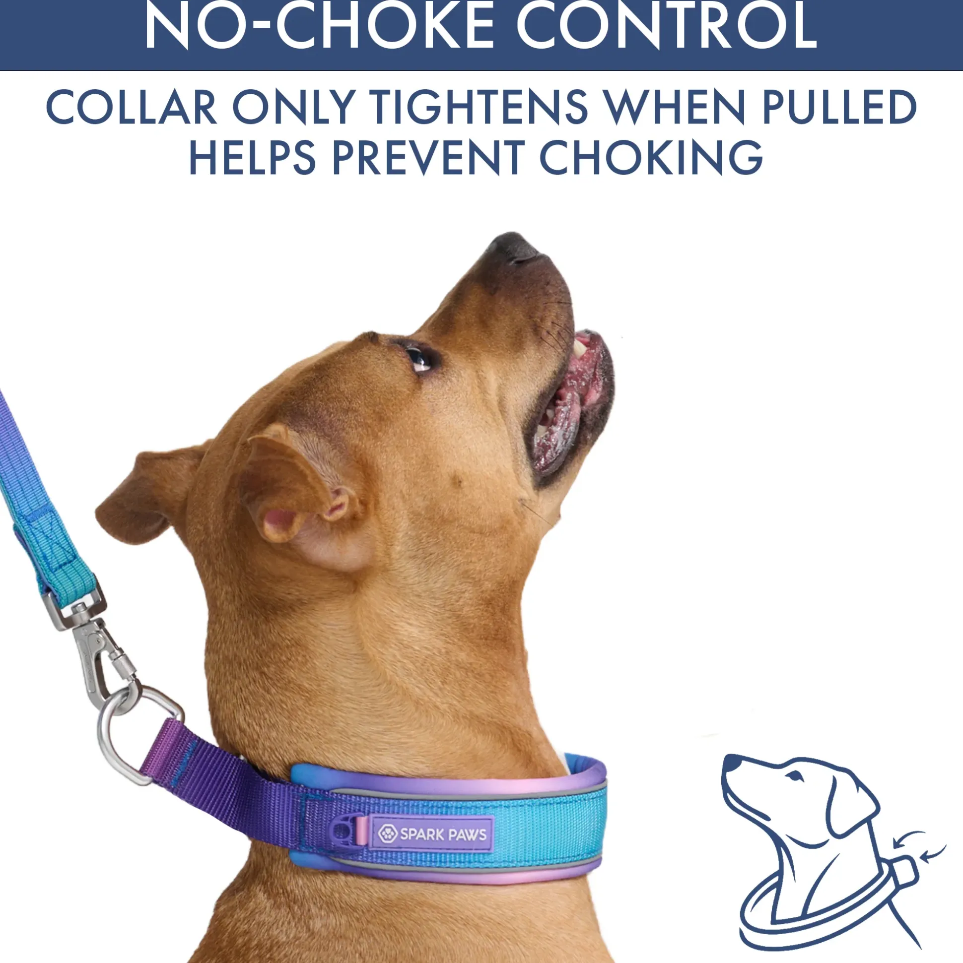 Martingale Collar Set - 90s Retro