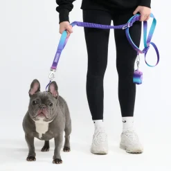 Multipurpose Seatbelt Handsfree Leash & Poop Bag Holder Set