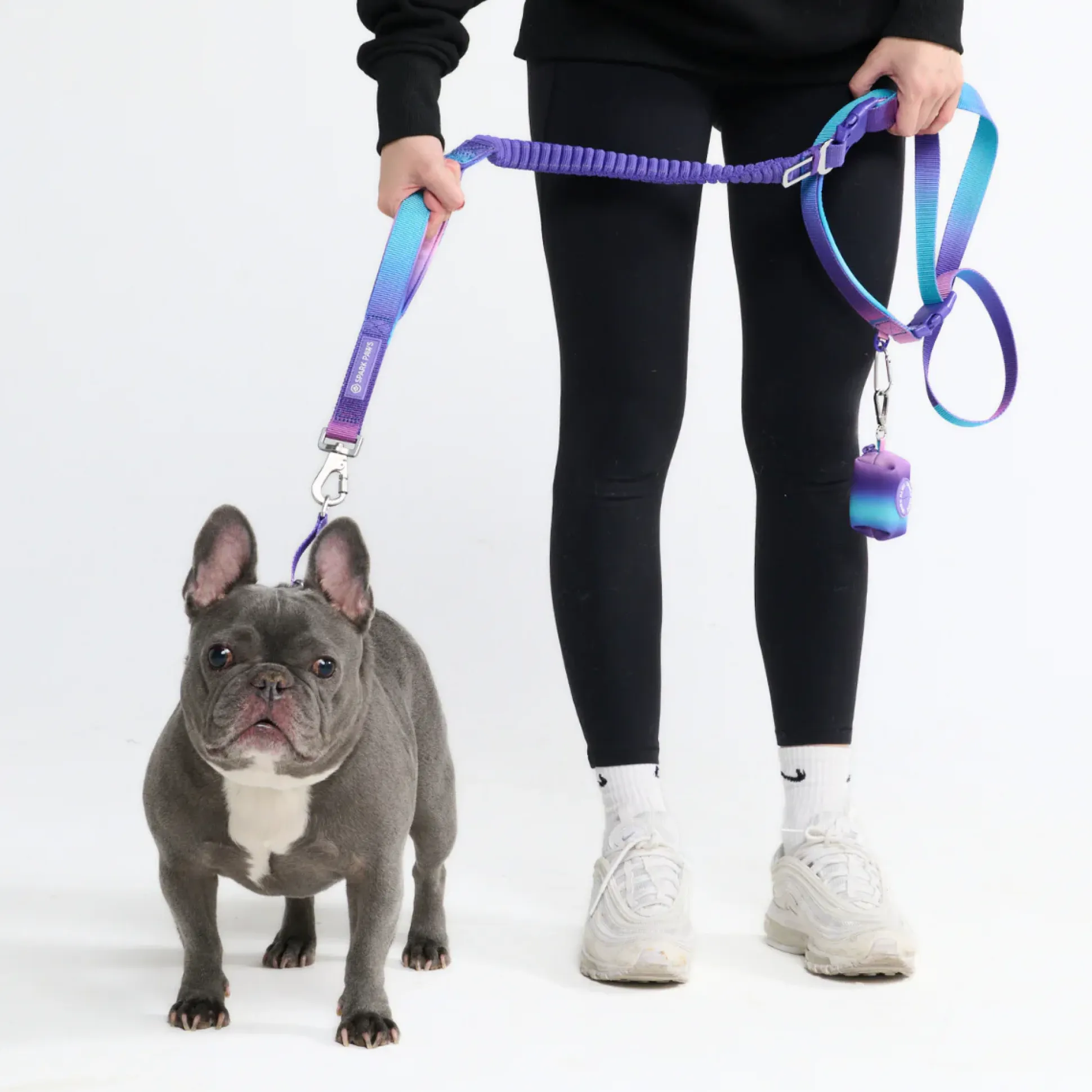 Multipurpose Seatbelt Handsfree Leash & Poop Bag Holder Set