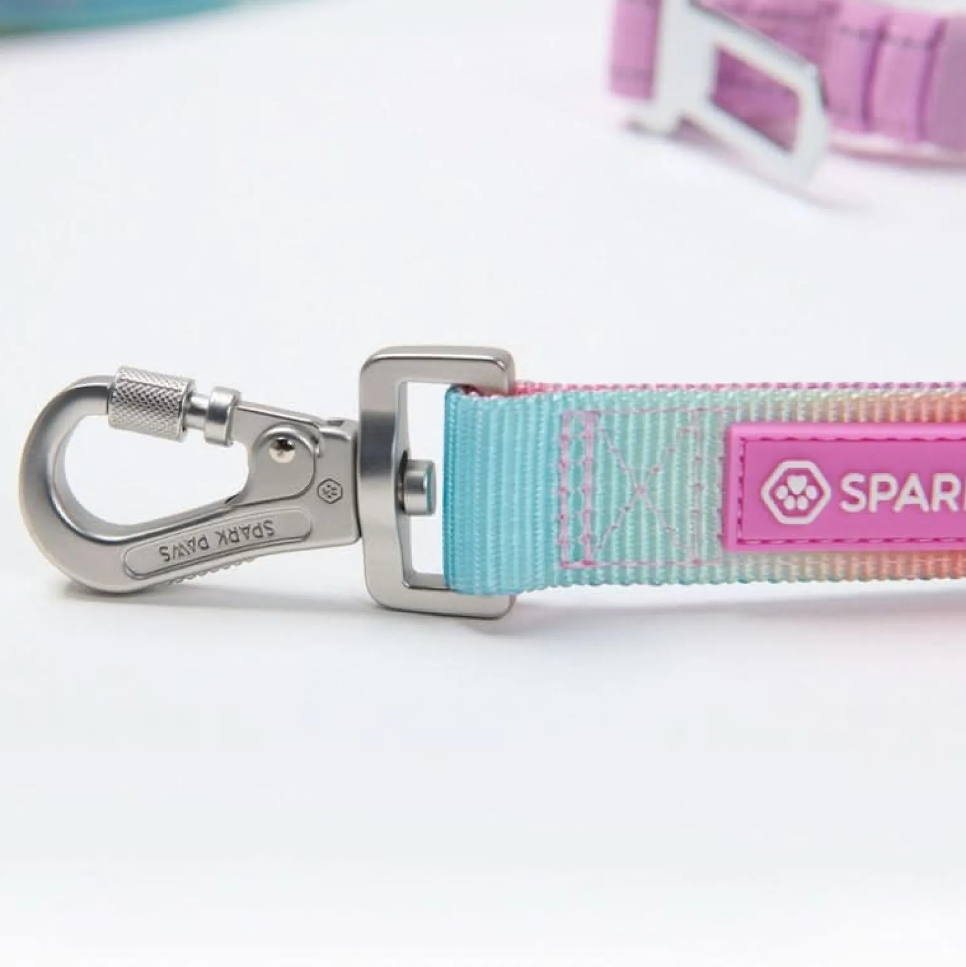 Multipurpose Seatbelt Handsfree Leash & Poop Bag Holder Set