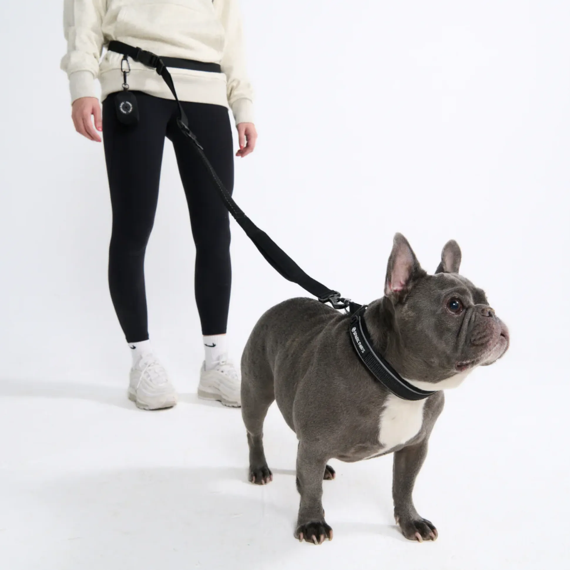 Multipurpose Seatbelt Handsfree Leash & Poop Bag Holder Set
