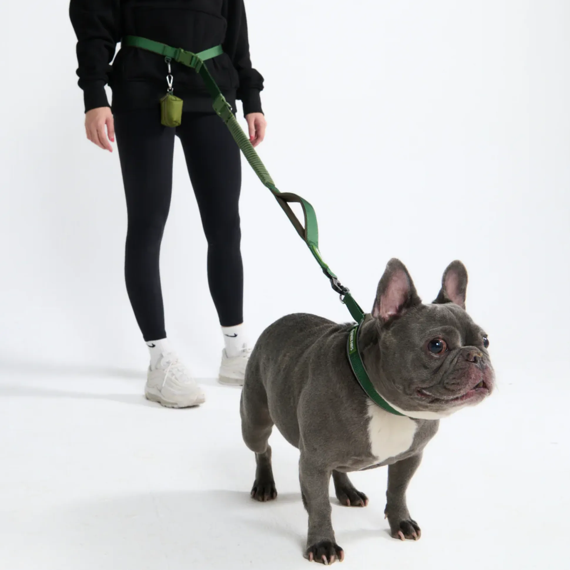 Multipurpose Seatbelt Handsfree Leash & Poop Bag Holder Set