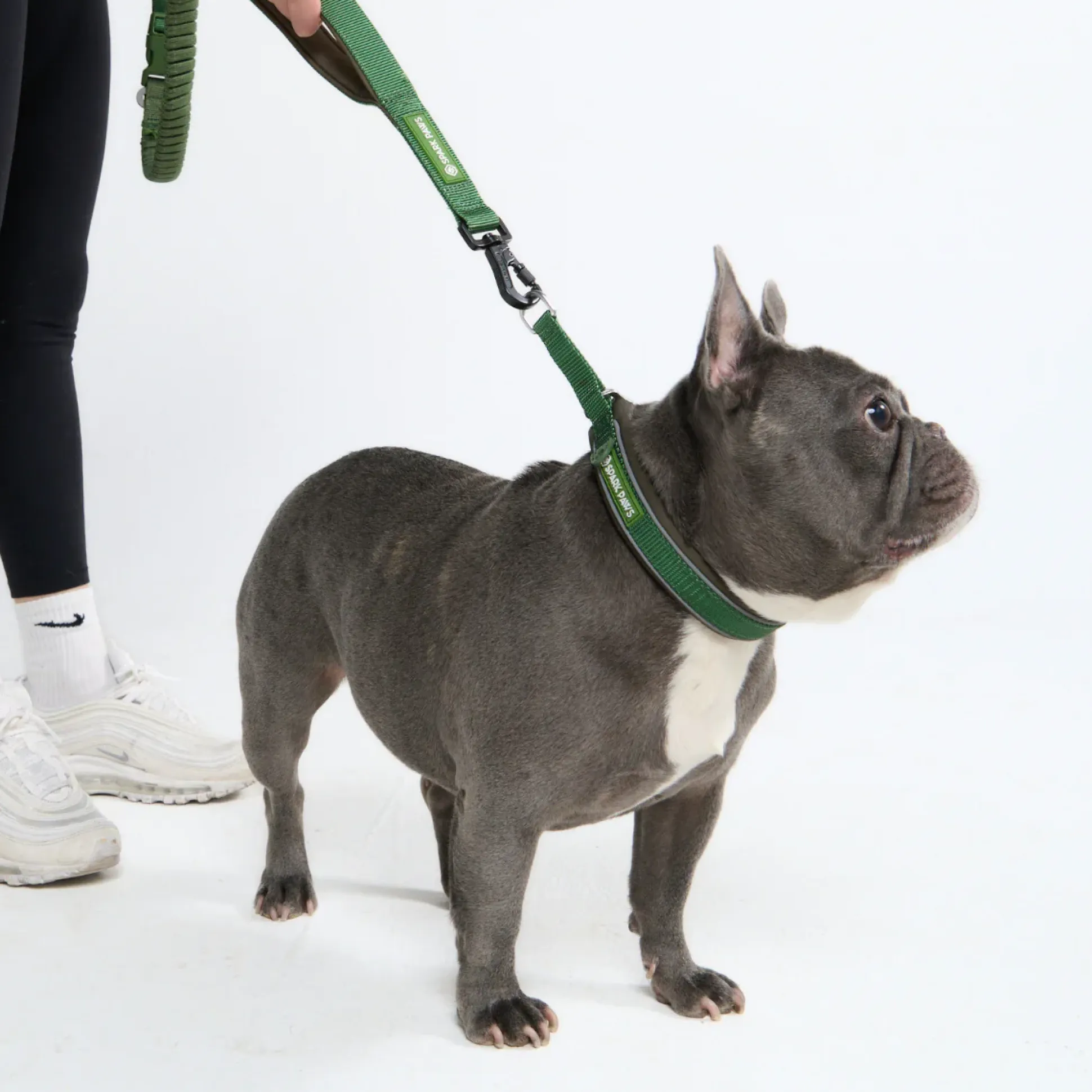 Multipurpose Seatbelt Handsfree Leash & Poop Bag Holder Set