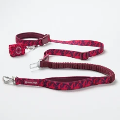 Multipurpose Seatbelt Handsfree Leash & Poop Bag Holder Set