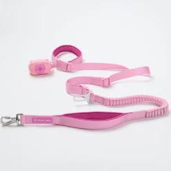 Multipurpose Seatbelt Handsfree Leash & Poop Bag Holder Set
