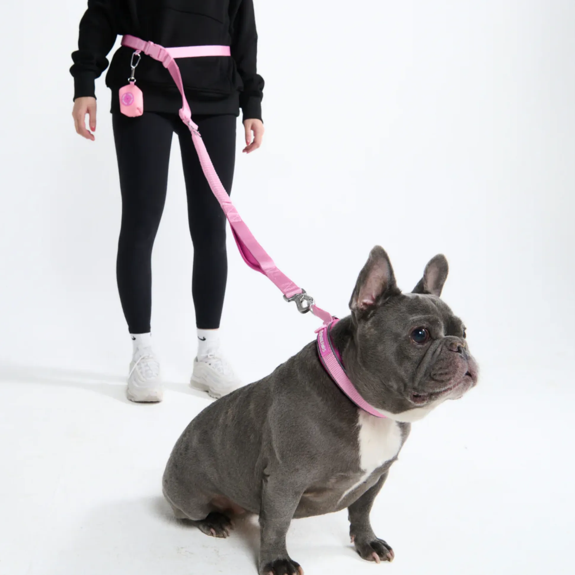 Multipurpose Seatbelt Handsfree Leash & Poop Bag Holder Set
