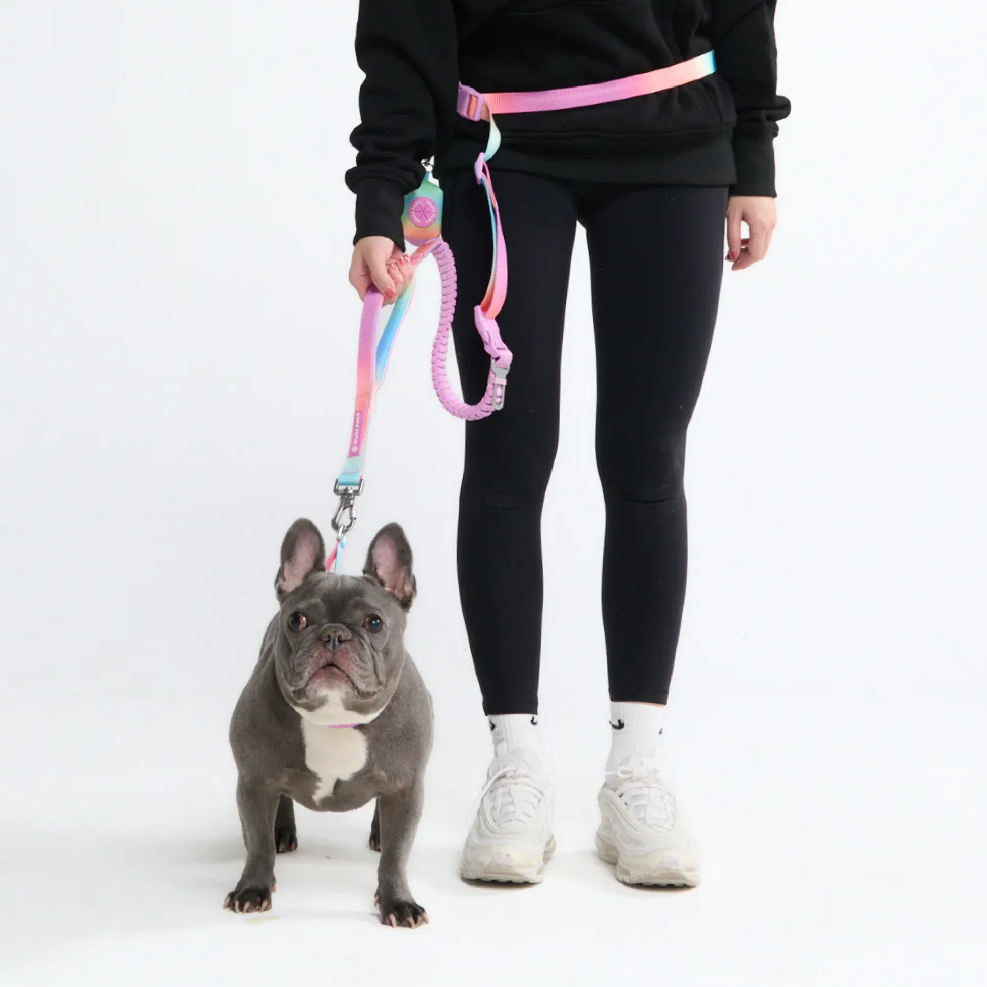 Multipurpose Seatbelt Handsfree Leash & Poop Bag Holder Set