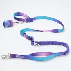 Multipurpose Seatbelt Handsfree Leash & Poop Bag Holder Set - 90s Retro