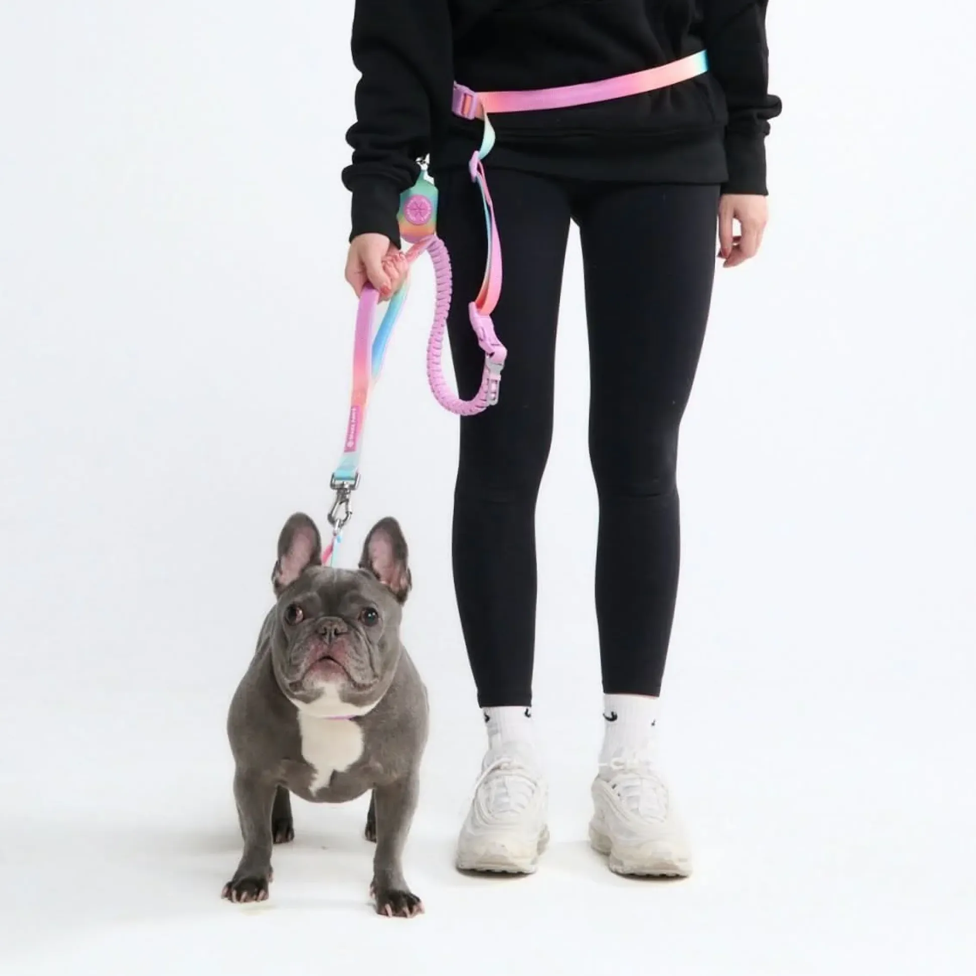 Multipurpose Seatbelt Handsfree Leash & Poop Bag Holder Set - Pastel Icing