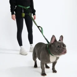 Multipurpose Seatbelt Handsfree Leash & Poop Bag Holder Set - Army Green