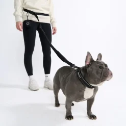 Multipurpose Seatbelt Handsfree Leash & Poop Bag Holder Set - Black