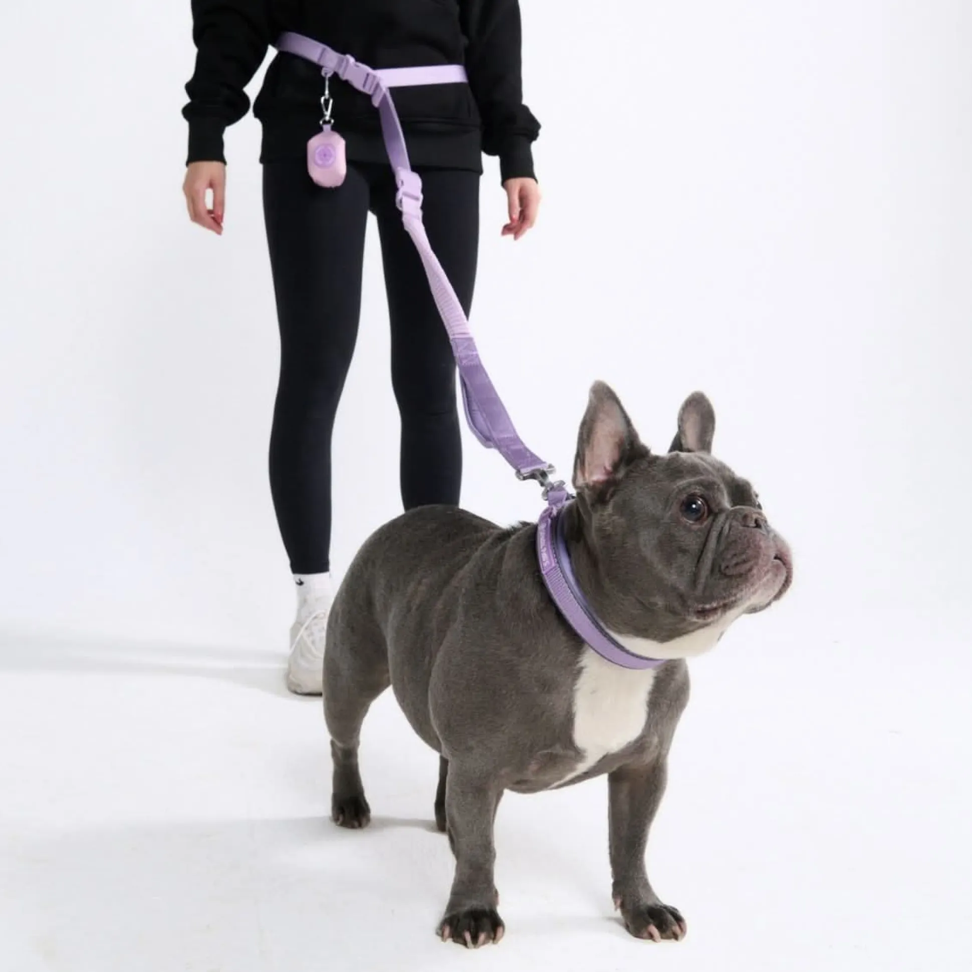 Multipurpose Seatbelt Handsfree Leash & Poop Bag Holder Set - Lilac