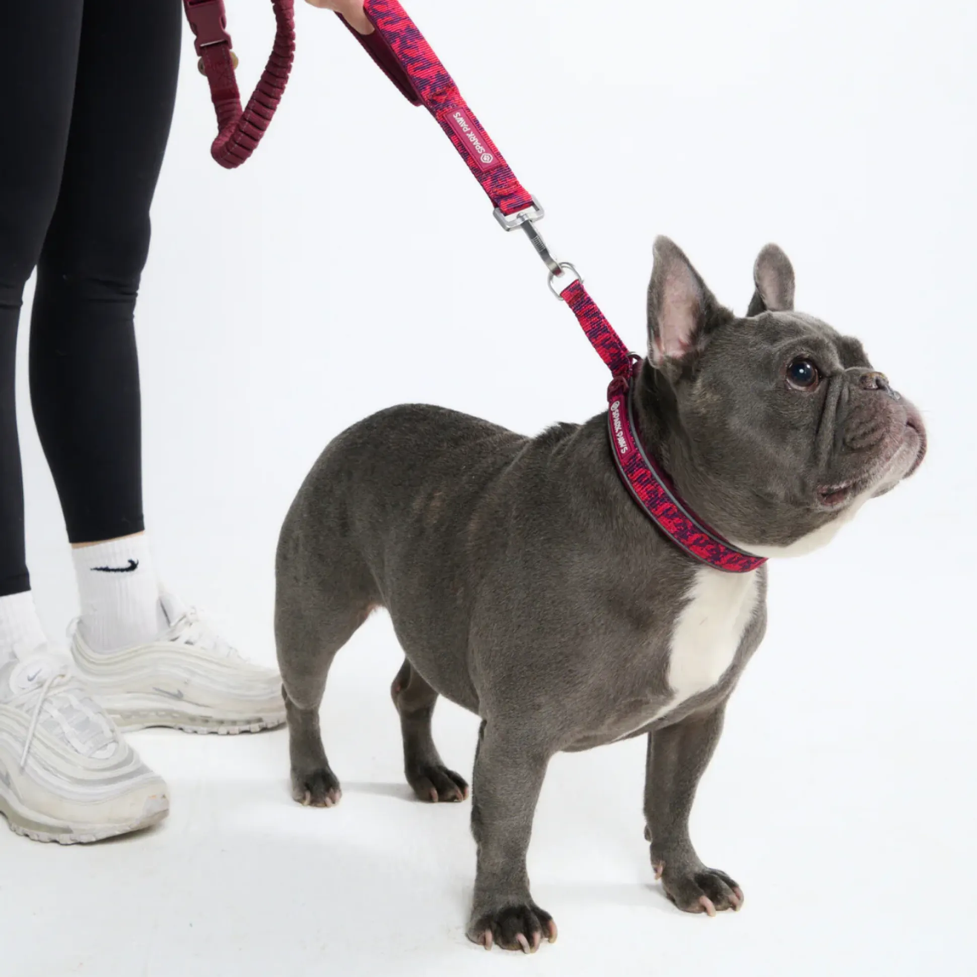 Multipurpose Seatbelt Handsfree Leash & Poop Bag Holder Set - Fuchsia Camo