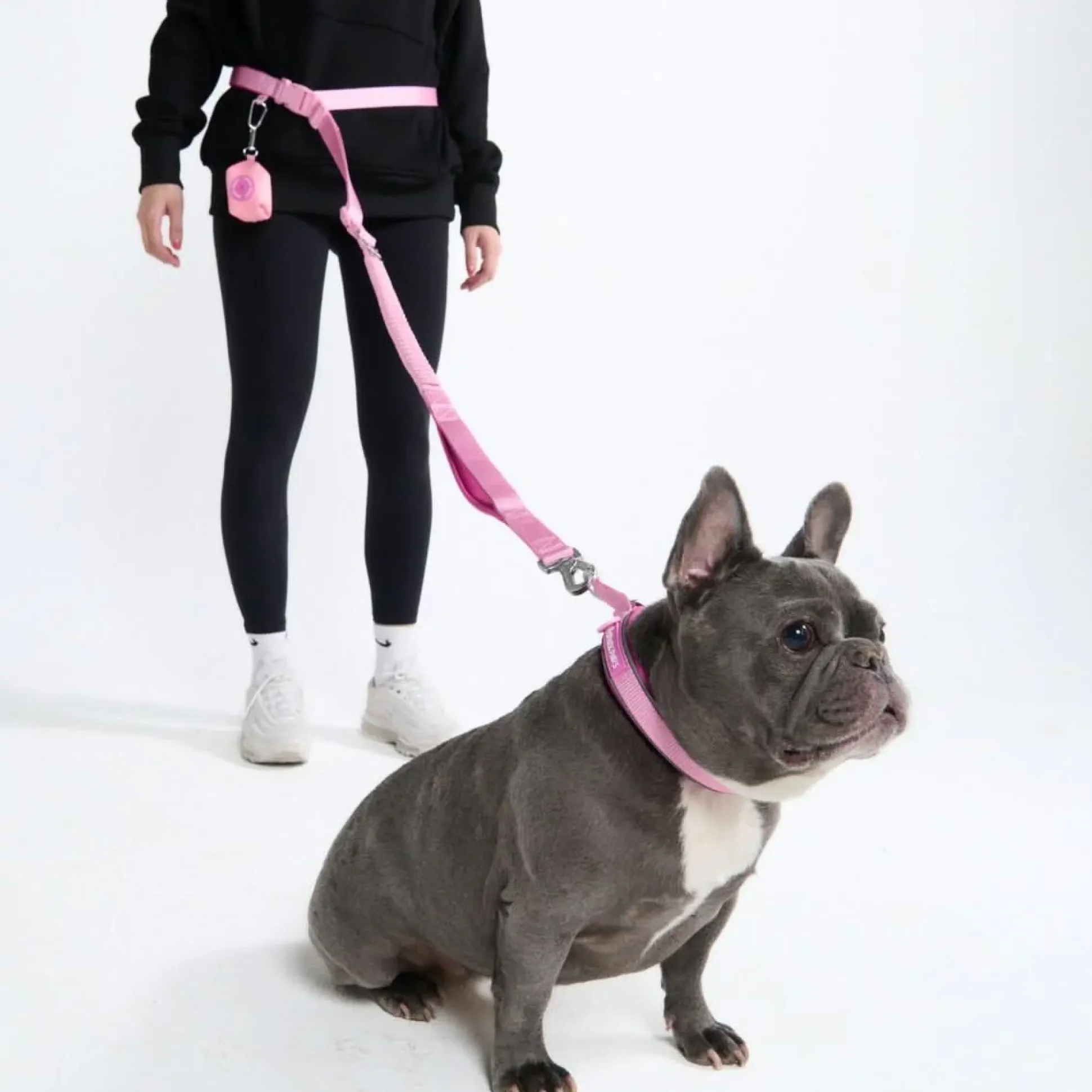 Multipurpose Seatbelt Handsfree Leash & Poop Bag Holder Set - Pink