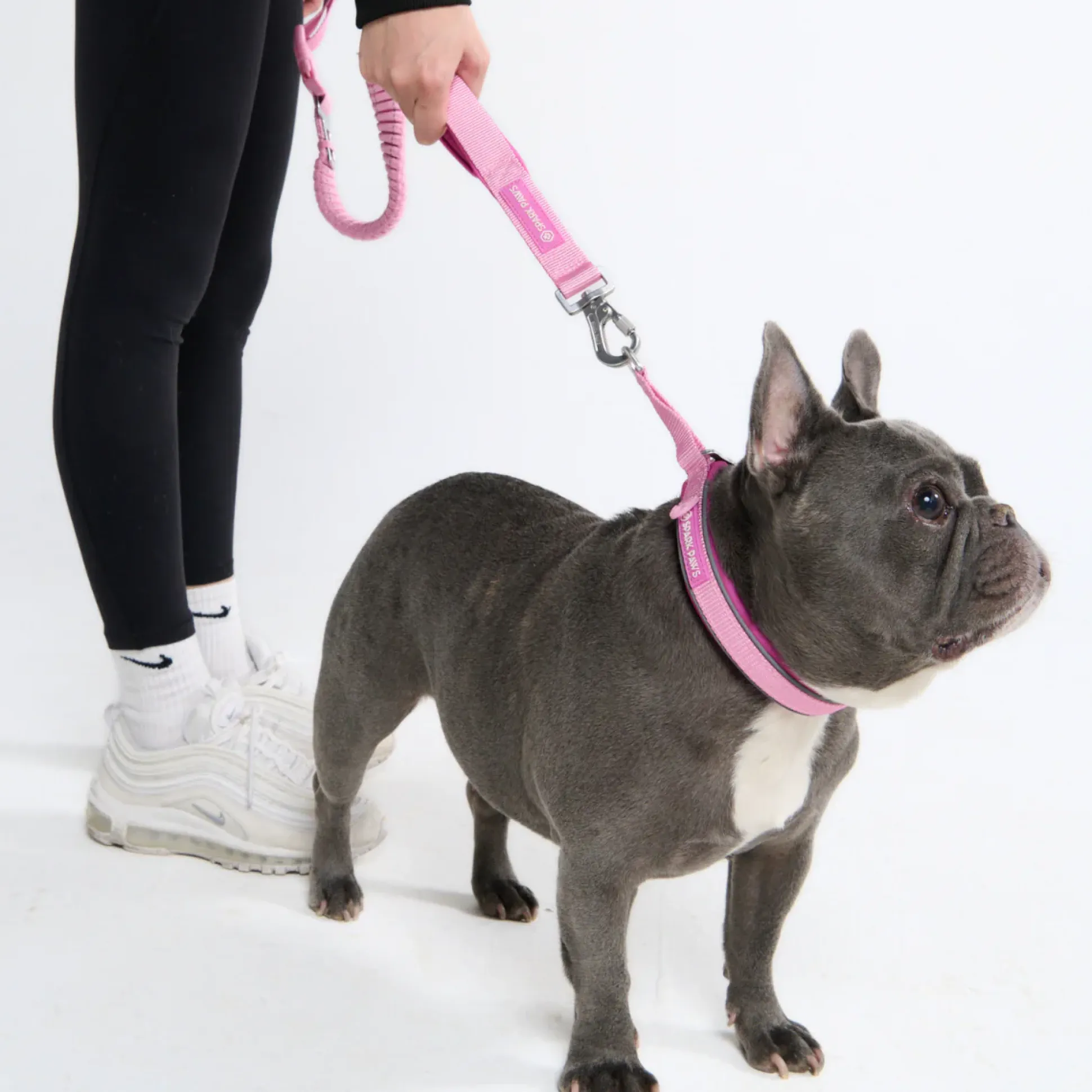 Multipurpose Seatbelt Handsfree Leash & Poop Bag Holder Set - Pink