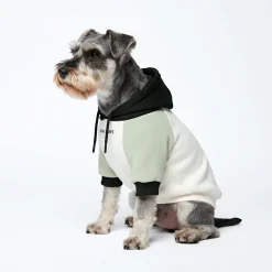 Olive Cream Dog Hoodie