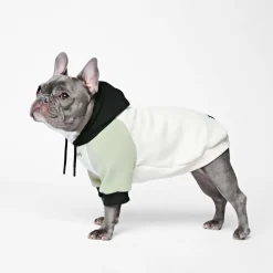 Olive Cream Dog Hoodie