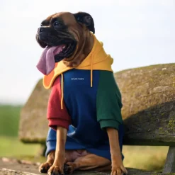 Primary Color Block Dog Hoodie