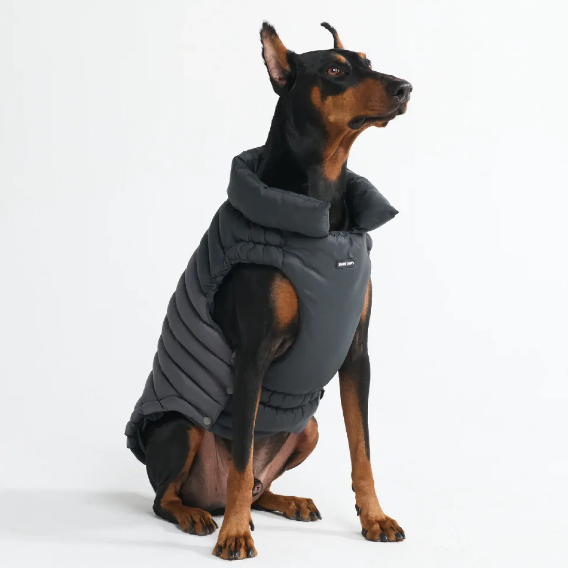 PuffShield Winter Jacket - Black