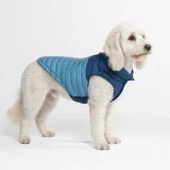 PuffShield Winter Jacket - Blue