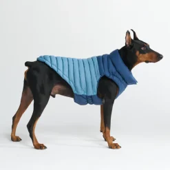 PuffShield Winter Jacket - Blue