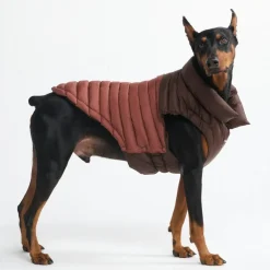 PuffShield Winter Jacket - Brown