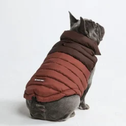 PuffShield Winter Jacket - Brown