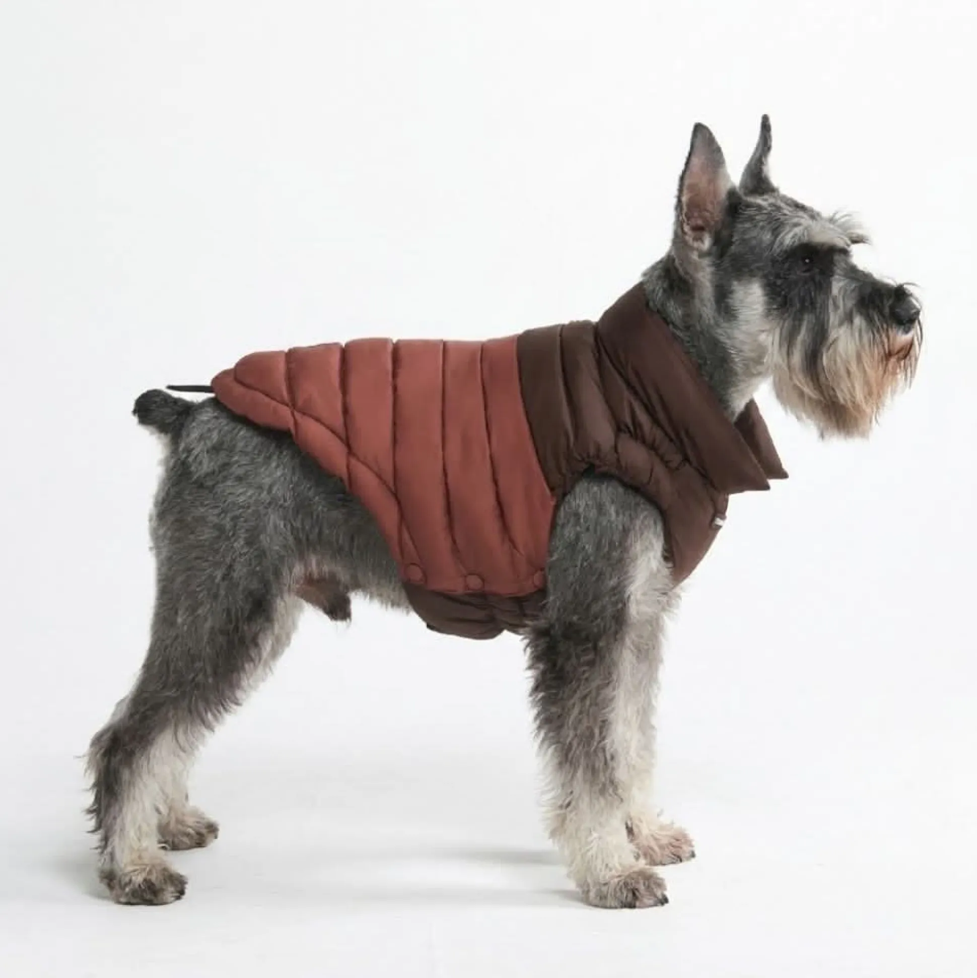 PuffShield Winter Jacket - Brown