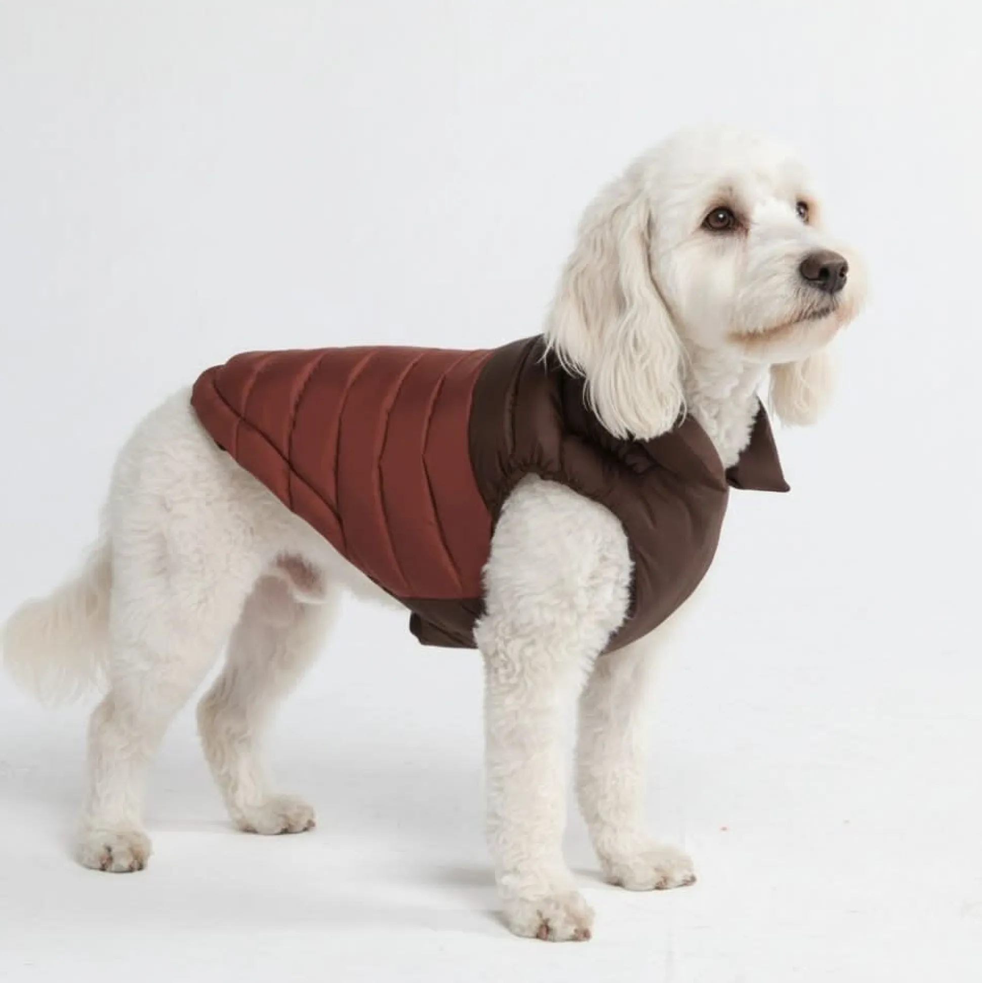 PuffShield Winter Jacket - Brown