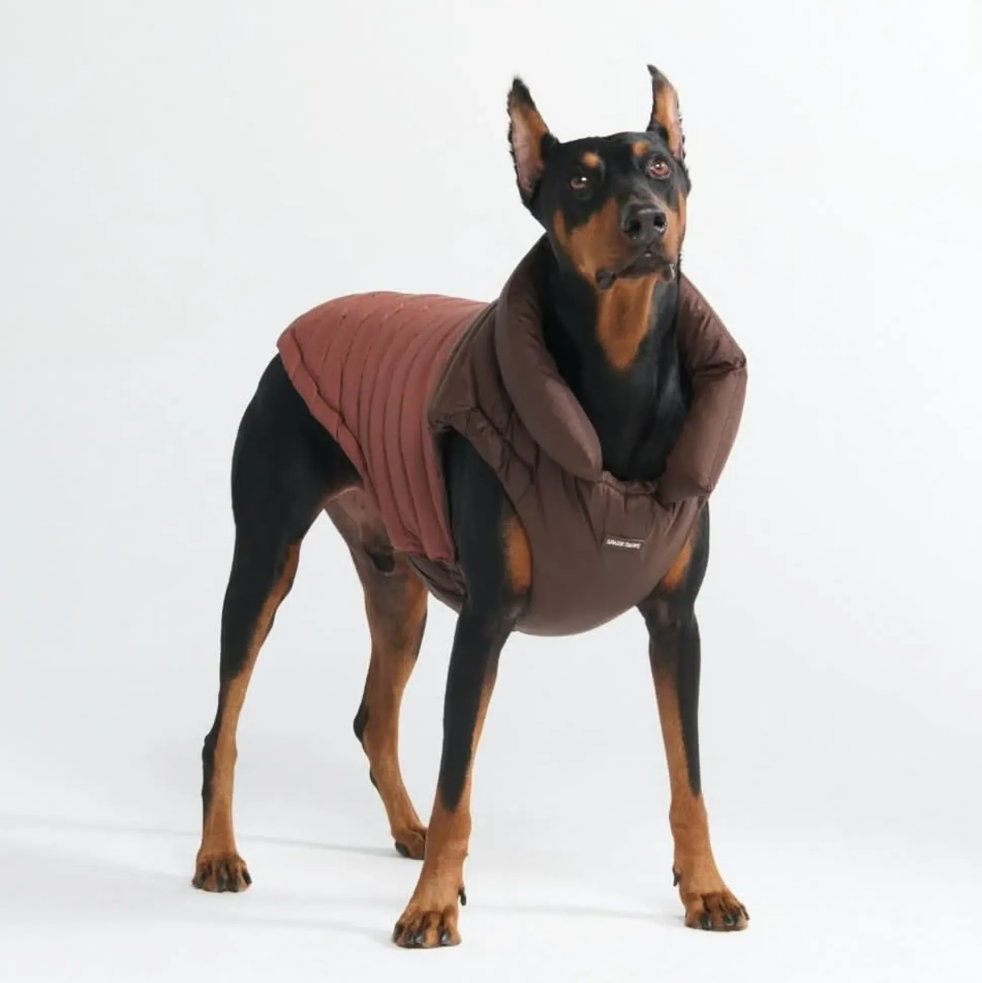 PuffShield Winter Jacket - Brown