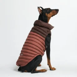 PuffShield Winter Jacket - Brown