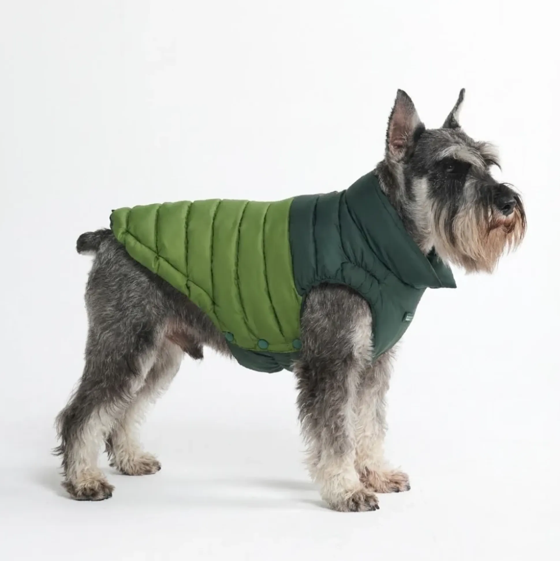 PuffShield Winter Jacket - Green