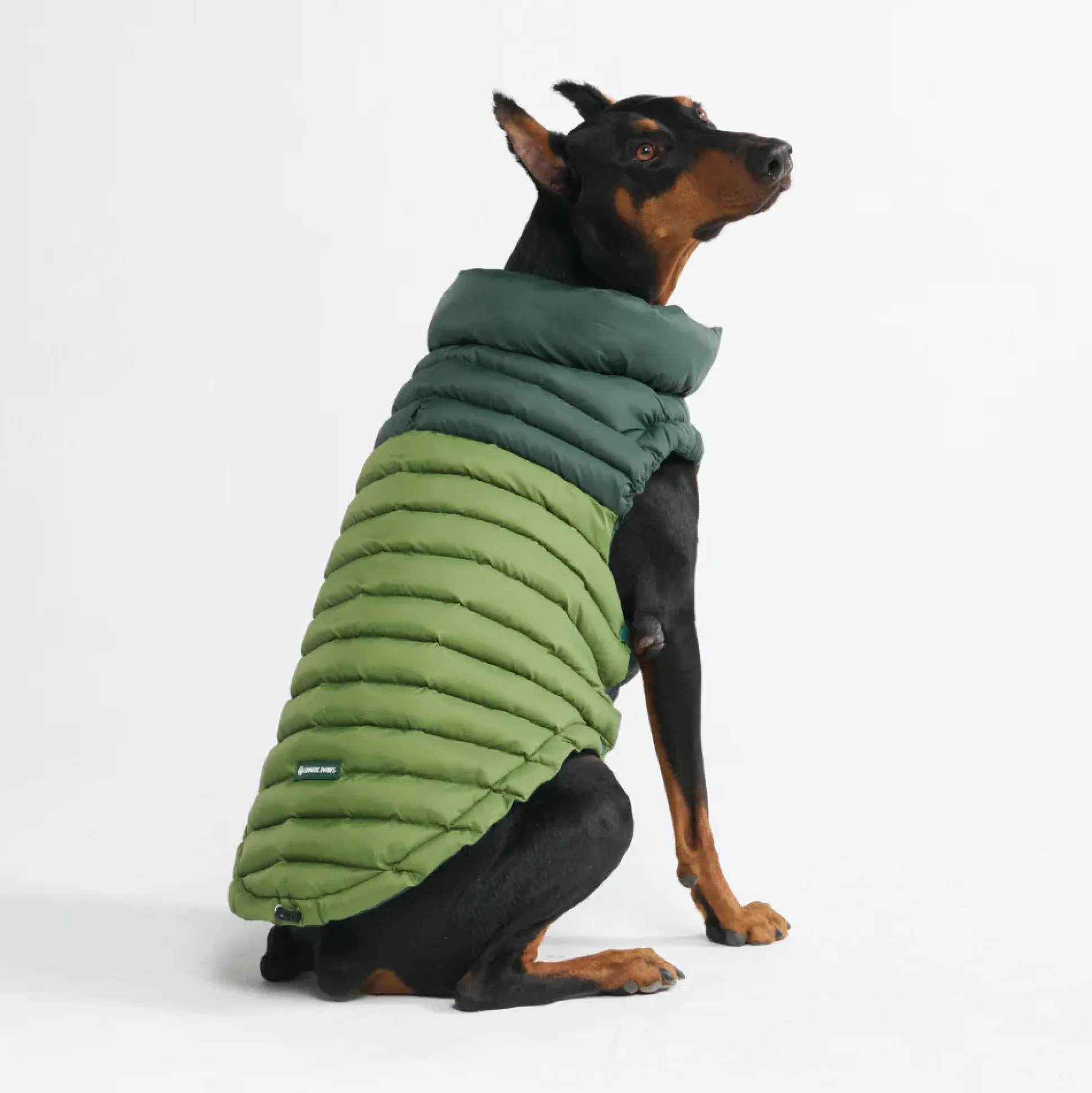 PuffShield Winter Jacket - Green