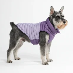 PuffShield Winter Jacket - Purple