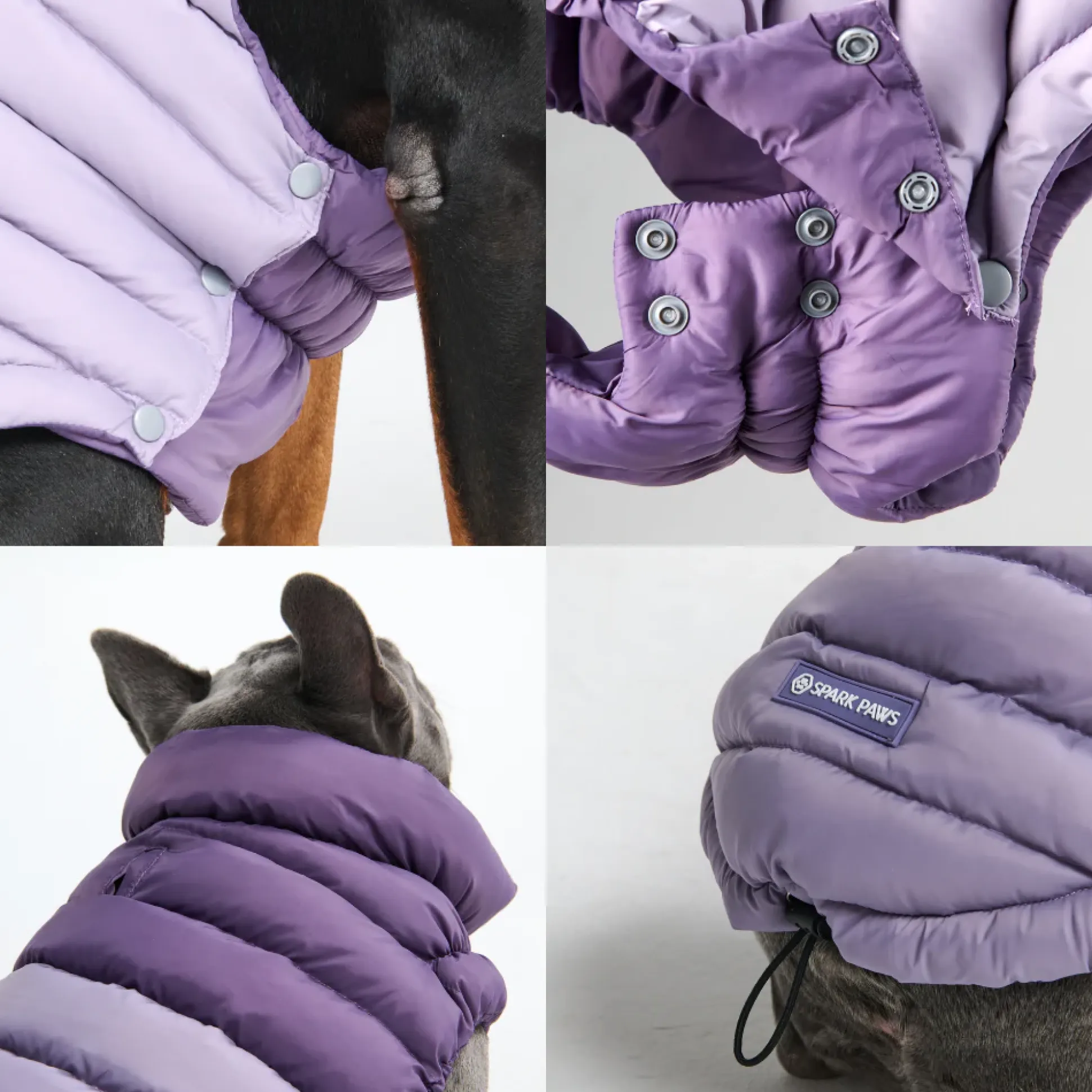 PuffShield Winter Jacket - Purple