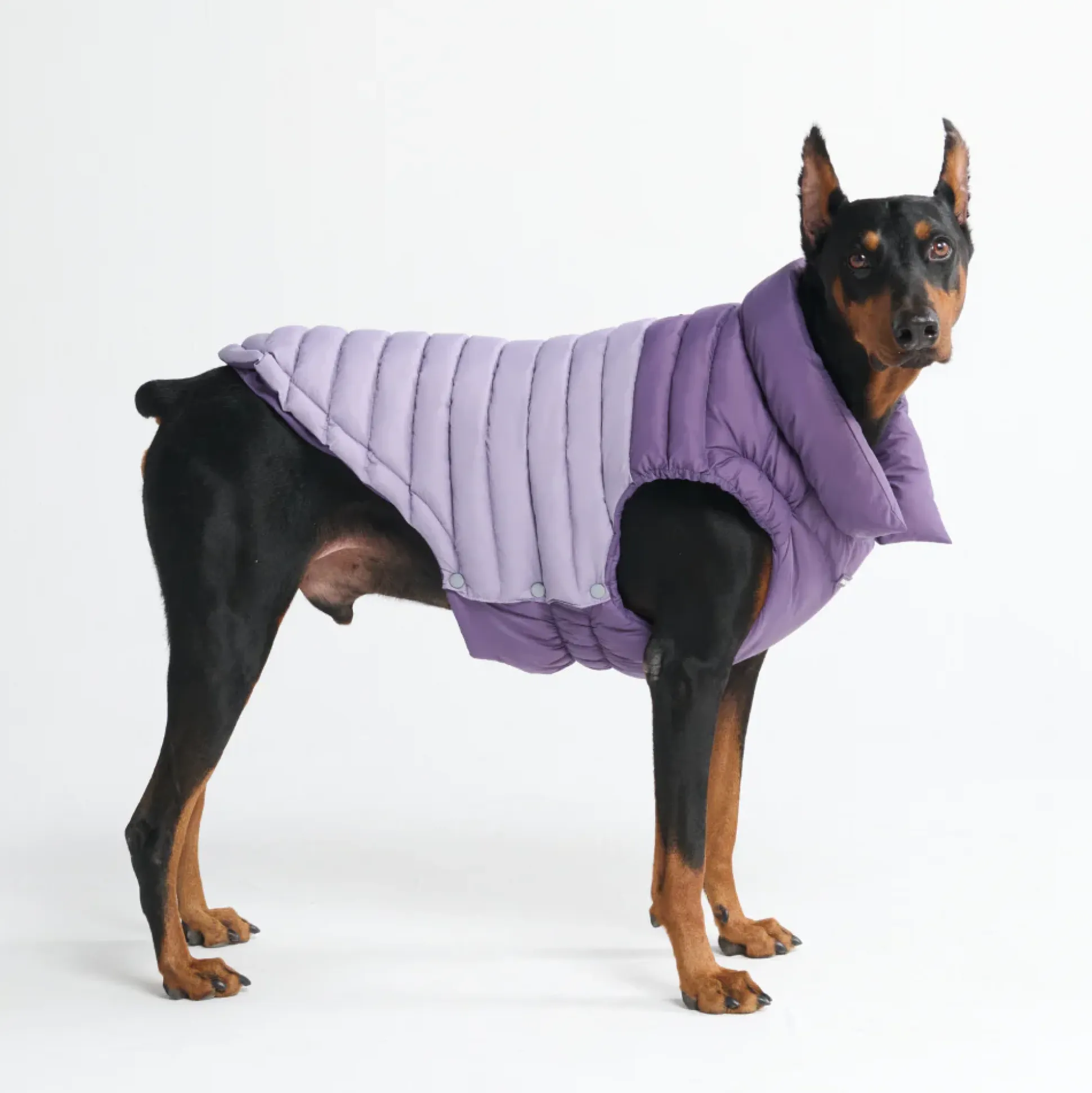 PuffShield Winter Jacket - Purple