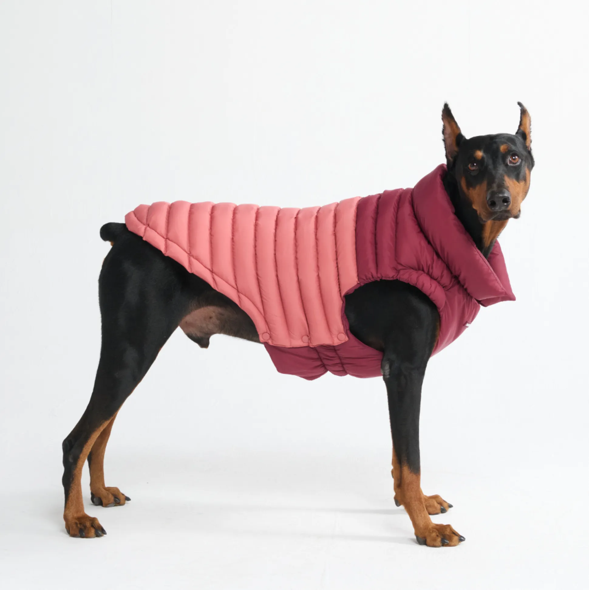 PuffShield Winter Jacket - Red