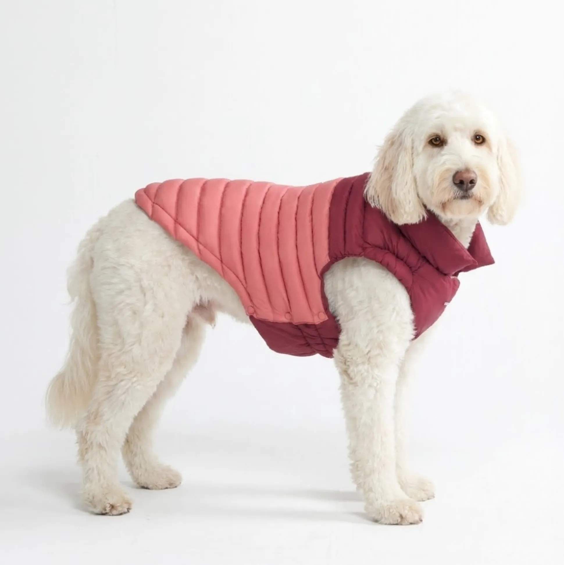 PuffShield Winter Jacket - Red