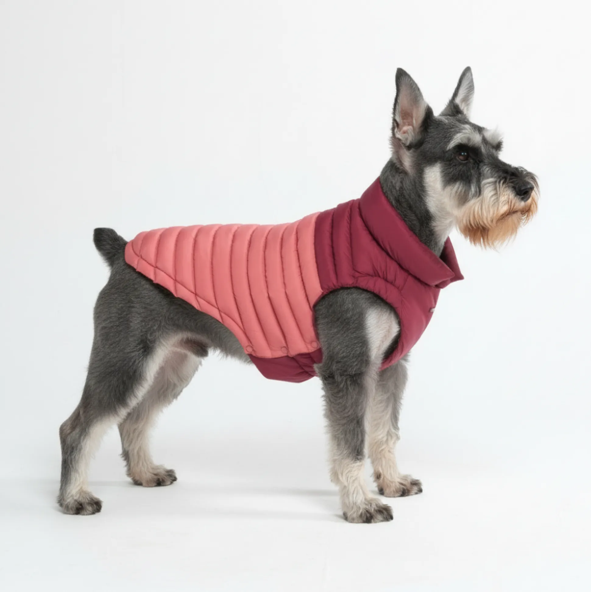 PuffShield Winter Jacket - Red