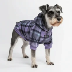 Purple Plaid Dog Hoodie