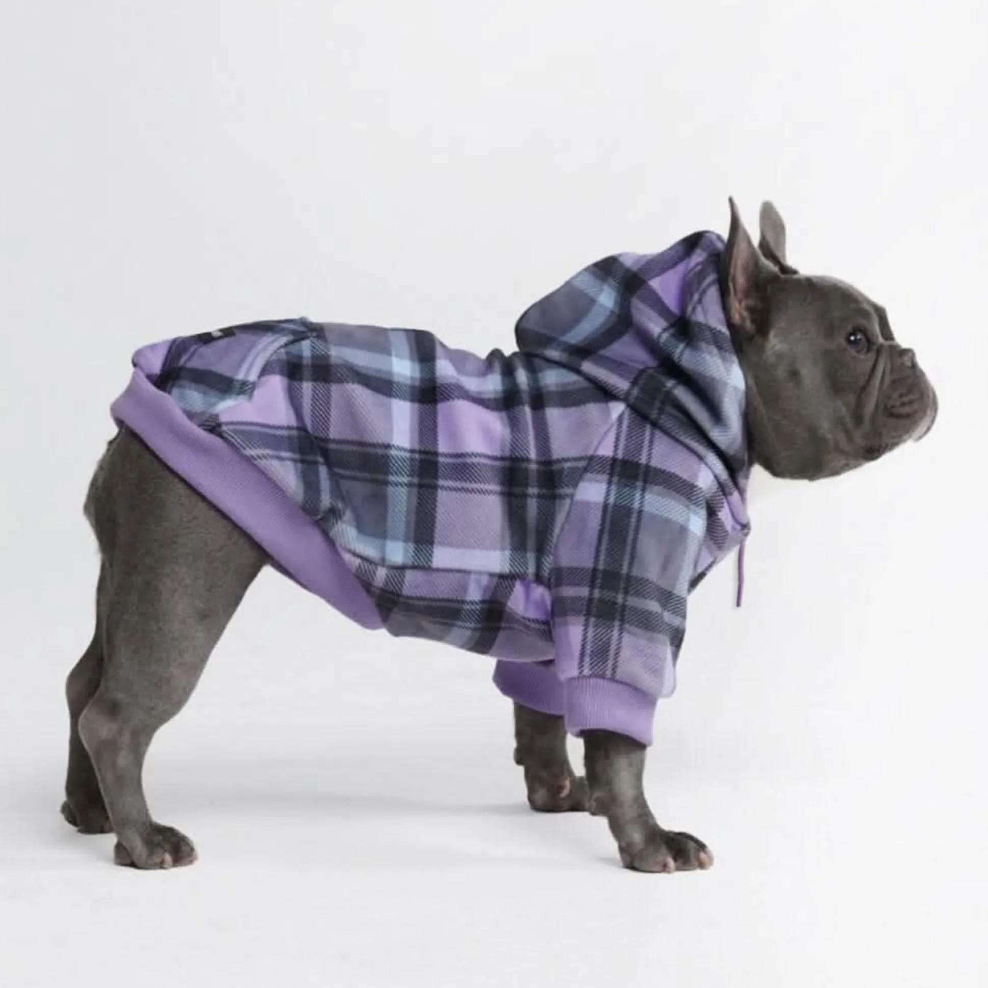 Purple Plaid Dog Hoodie